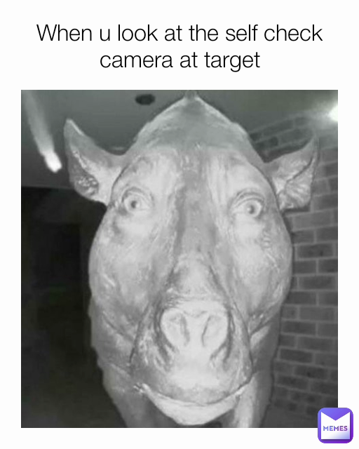 When u look at the self check camera at target