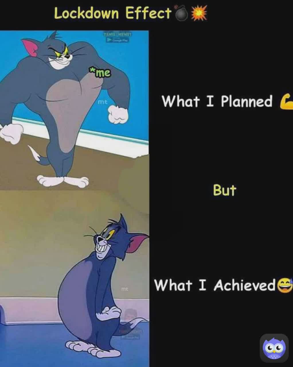 Post by @panikaradi | Memes