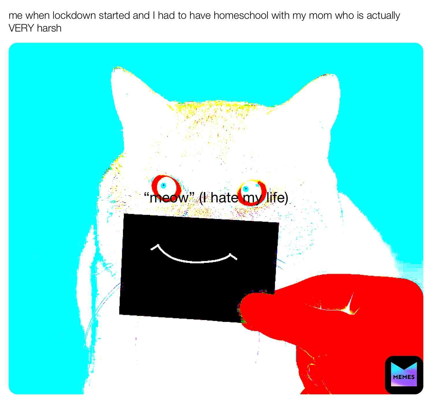 #cat_meme