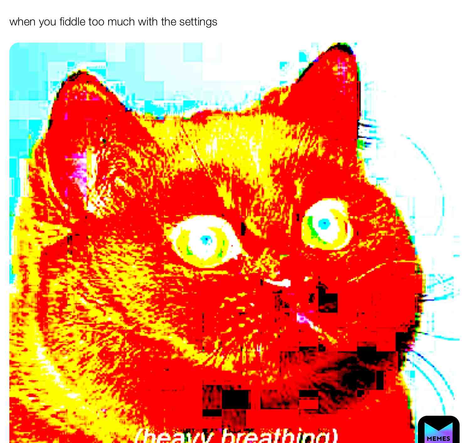 #cat_meme #catlovers #MemeBoisForLife