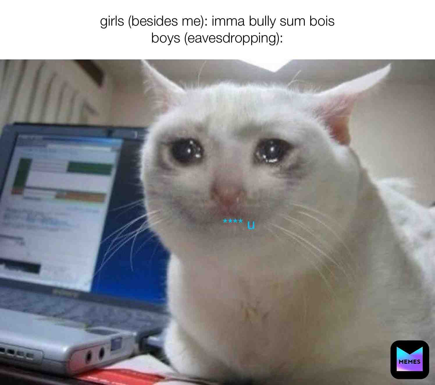 #cat_meme #catlovers #nuggies #MemeBoisForLife