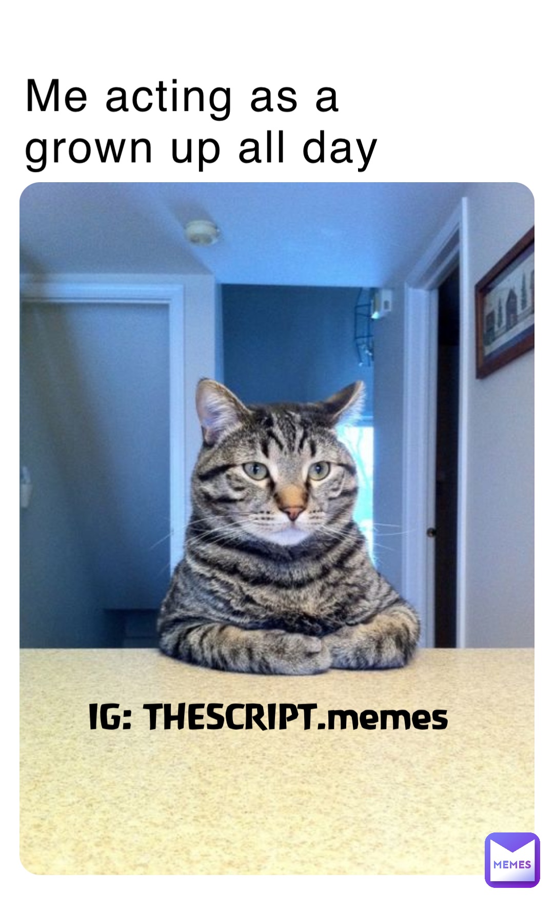 Me acting as a grown up all day IG: THESCRIPT.memes