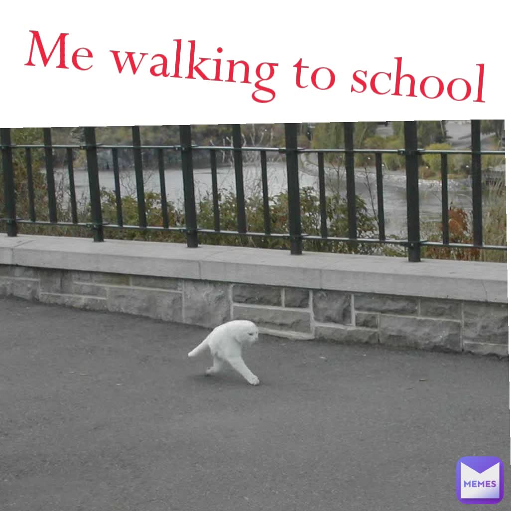 Me walking to school 

