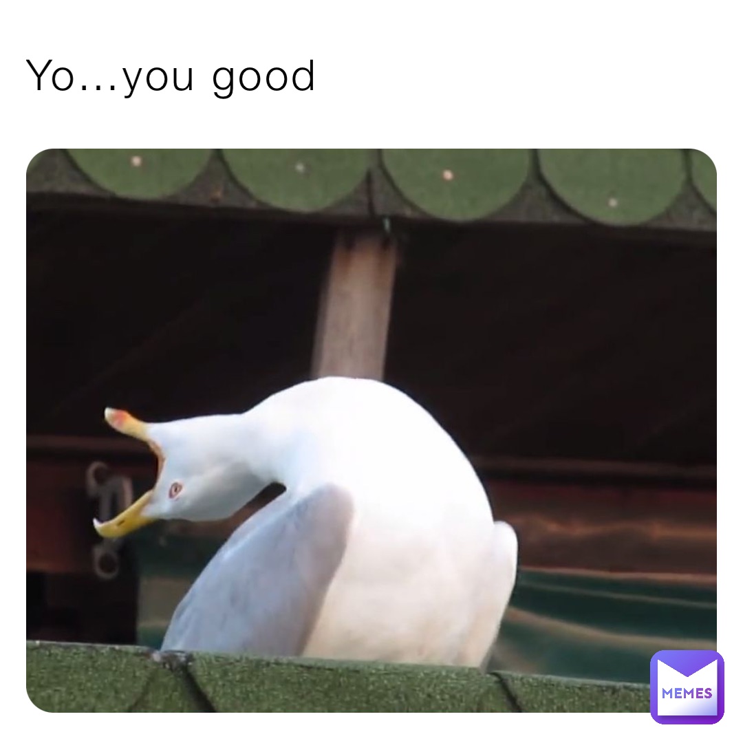 Meme by ryan-galicia