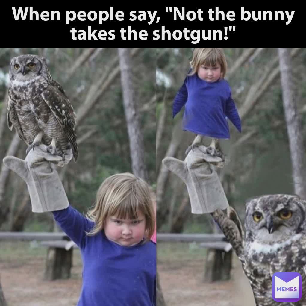 When people say, "Not the bunny takes the shotgun!"