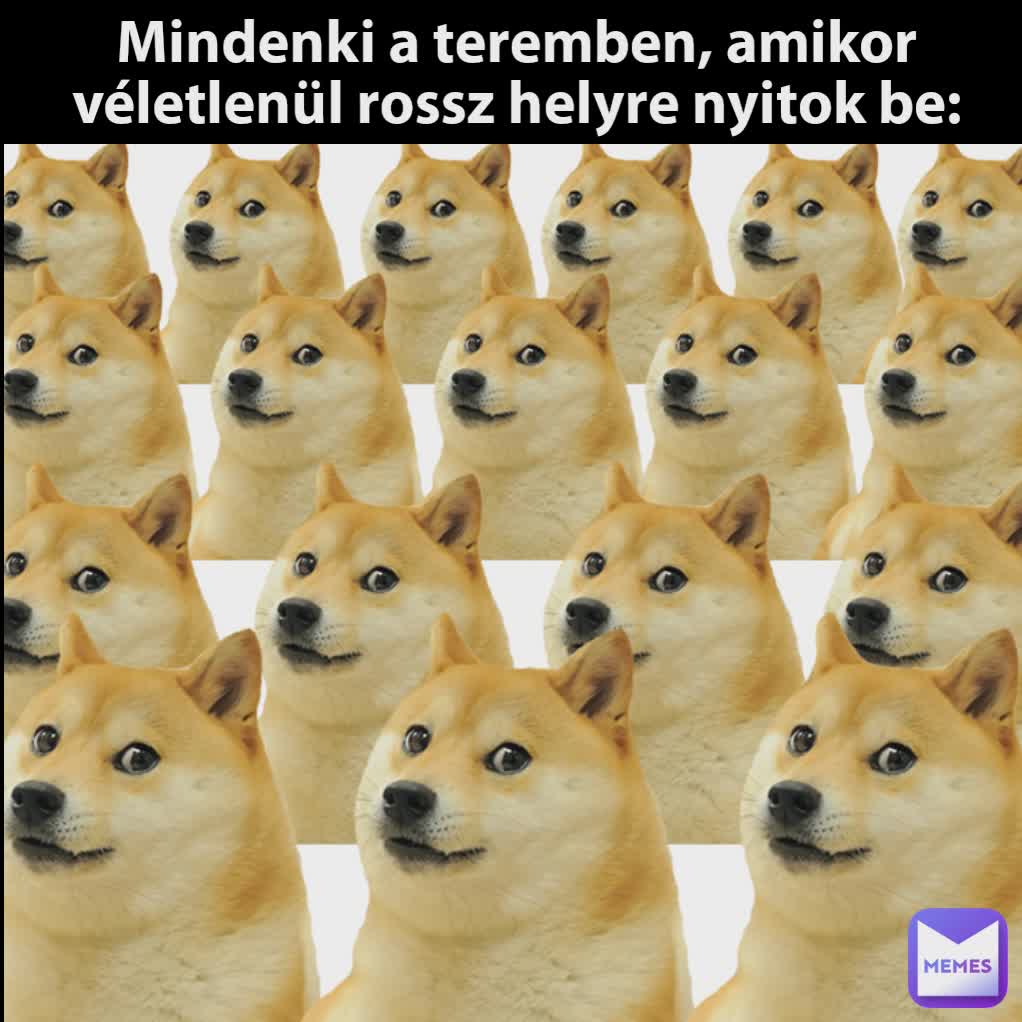 Mindenki a teremben, amikor véletlenül rossz helyre nyitok be: