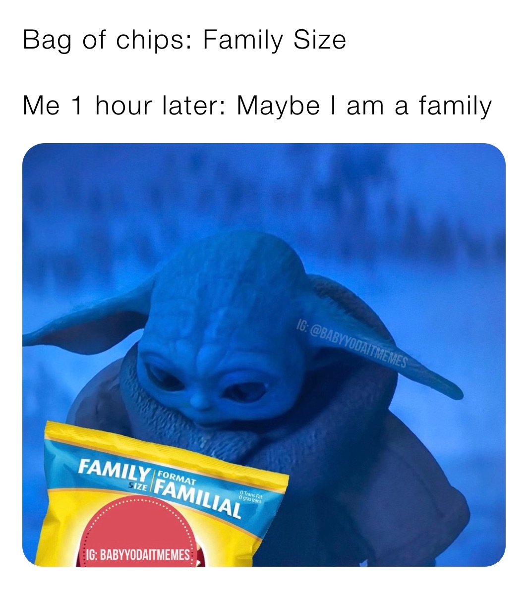 Bag of chips: Family Size

Me 1 hour later: Maybe I am a family