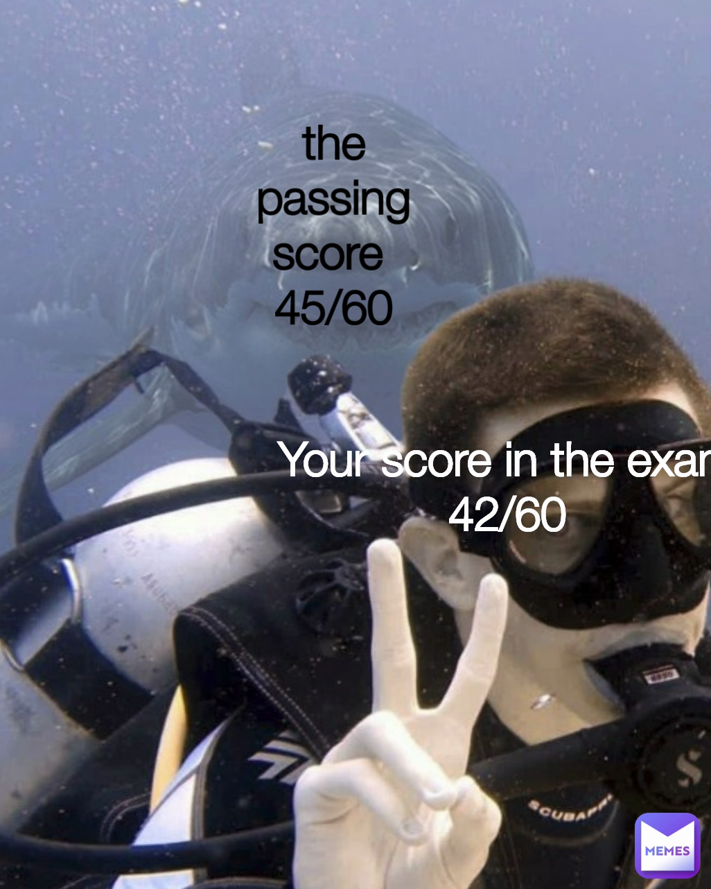 Your score in the exam
42/60 the passing score 
45/60