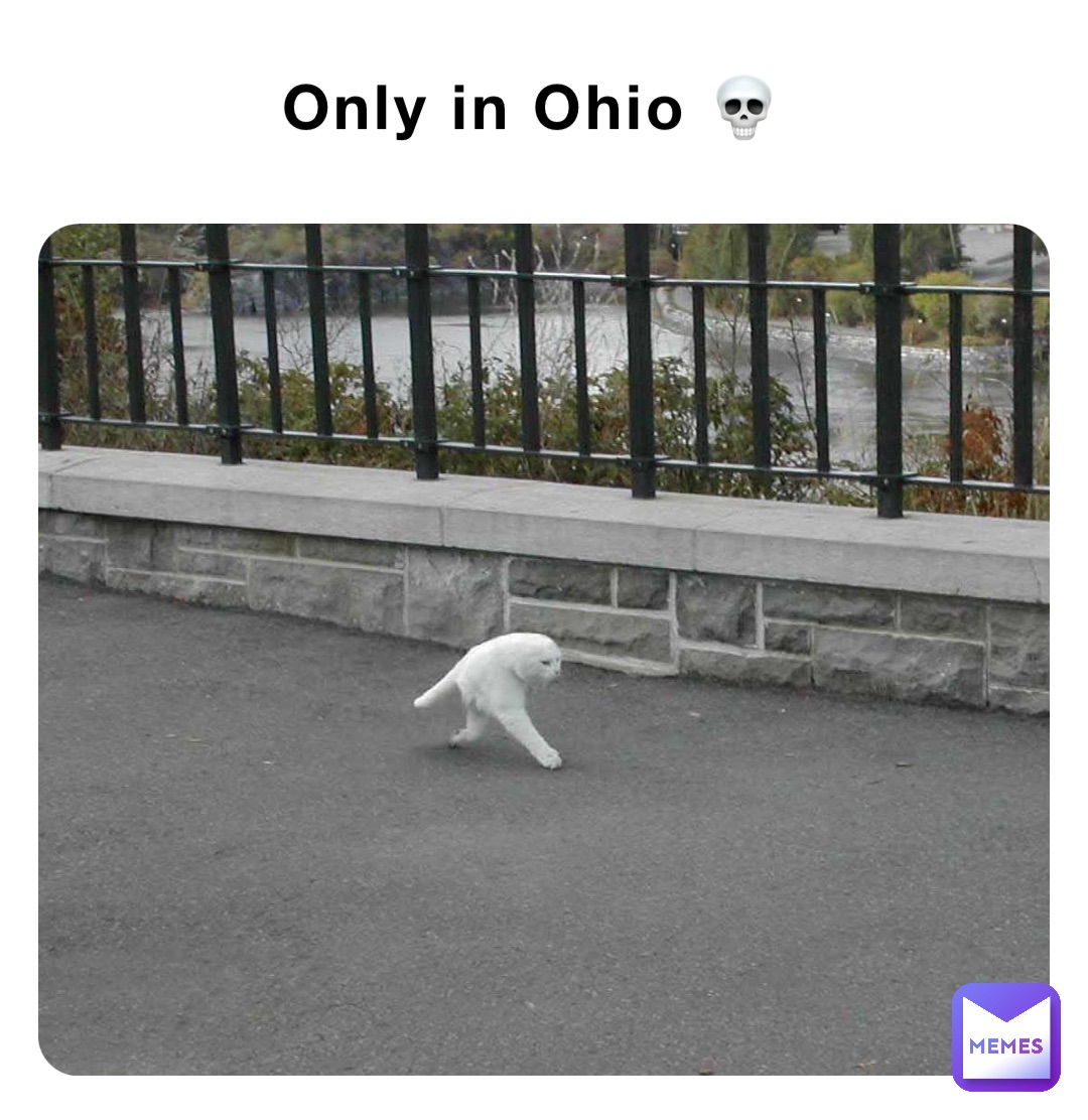 Only in Ohio 💀