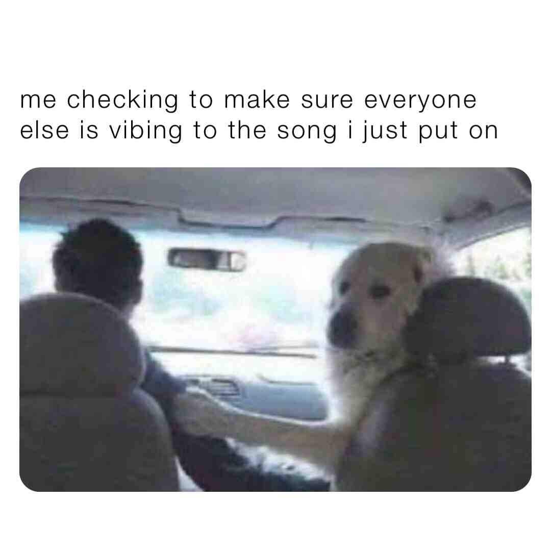 #mood #relatable #meme #dog #car #drive #funny #funnymemes