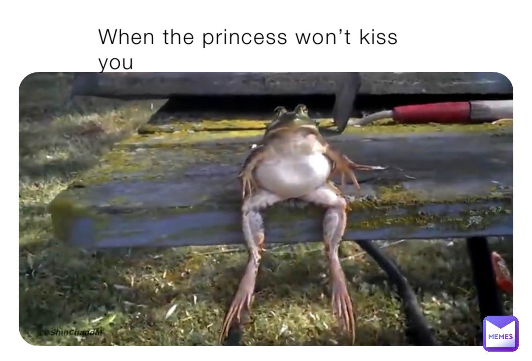 When the princess won’t kiss you