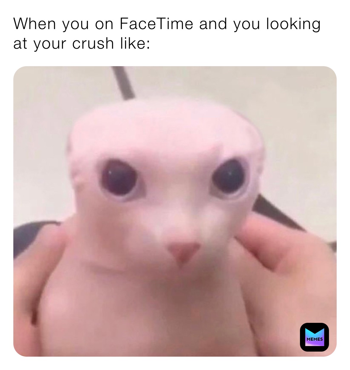 When you on FaceTime and you looking at your crush like: