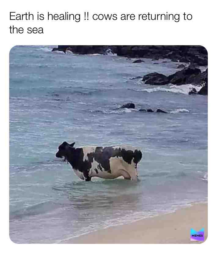 Meme shared by @Sam_Official