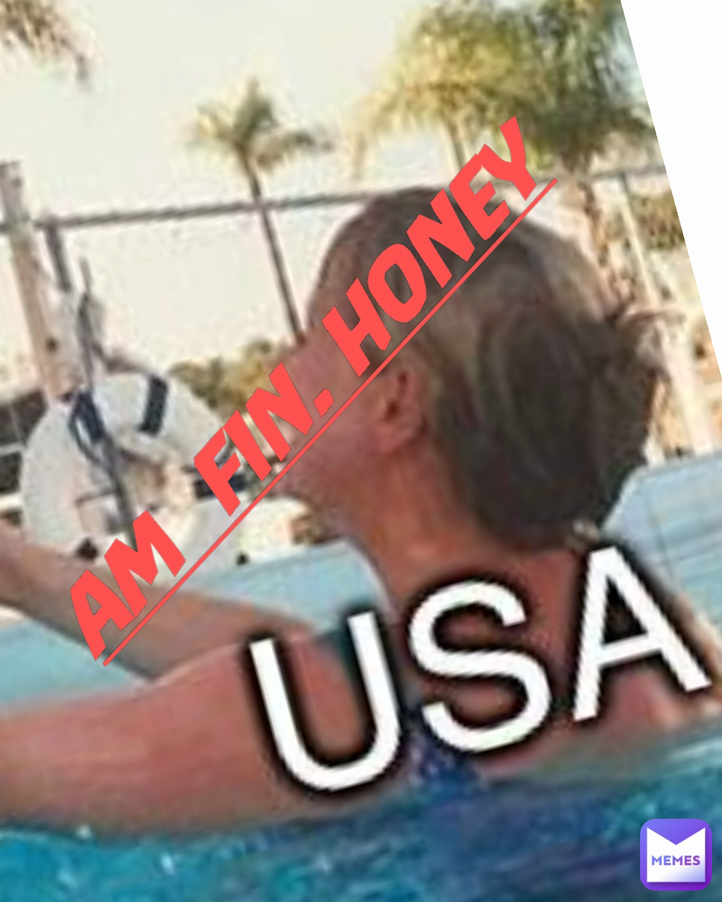 AM  FIN. HONEY