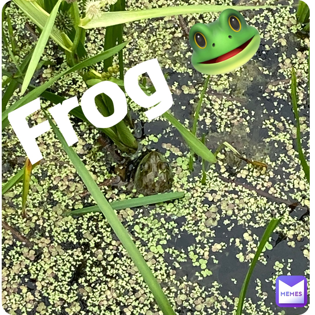 Double tap to edit Frog 🐸