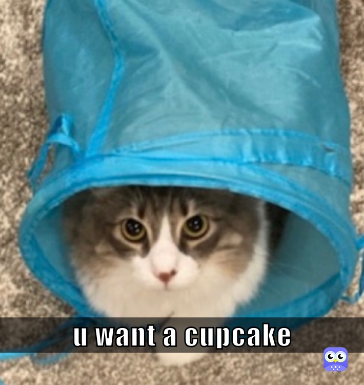 u want a cupcake