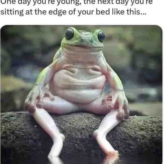 Meme shared by @spacecat_123