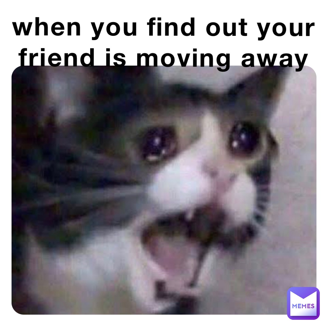 moving out meme