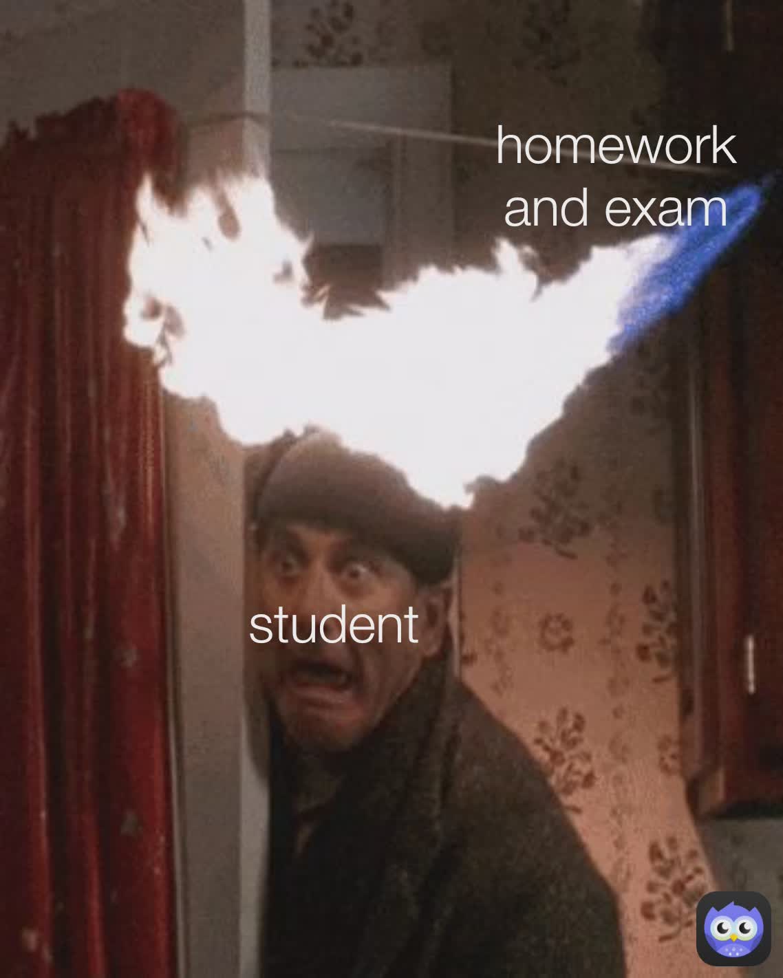student homework and exam