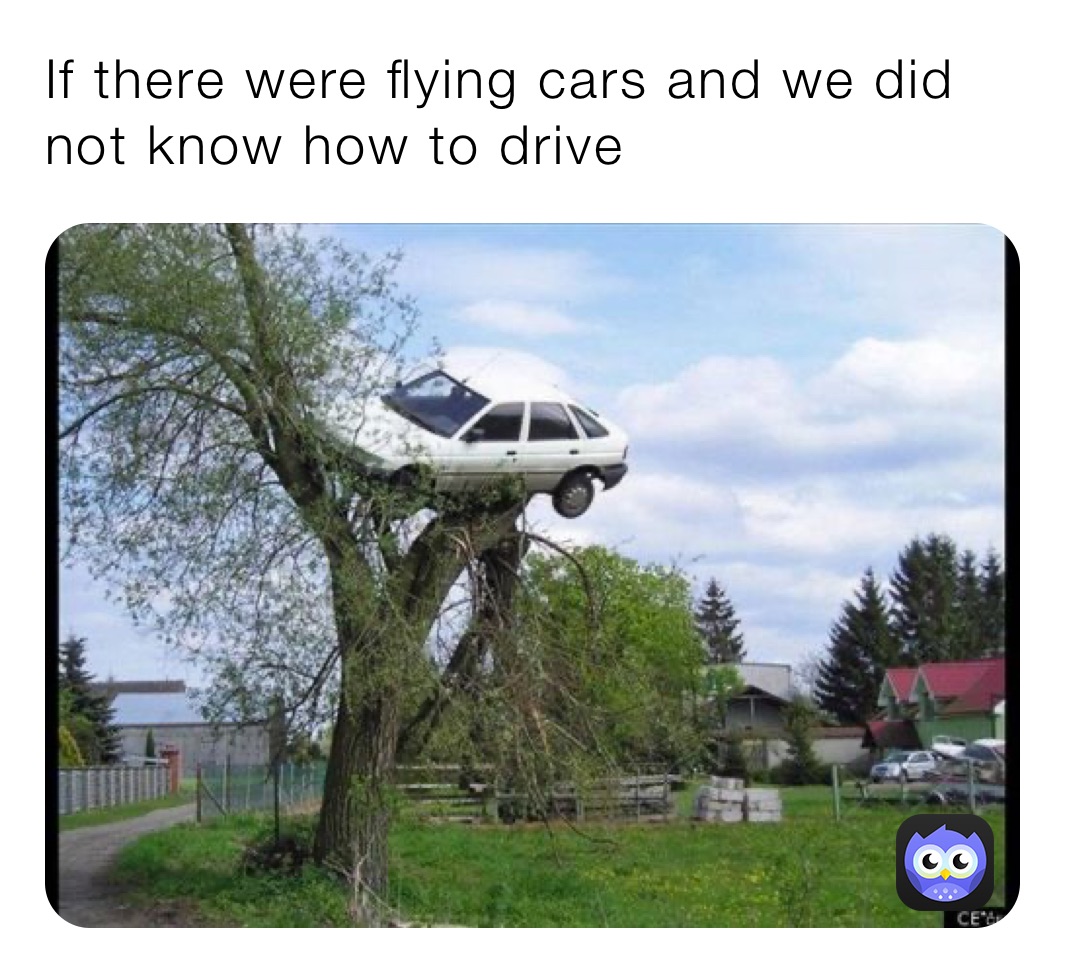If there were flying cars and we did not know how to drive