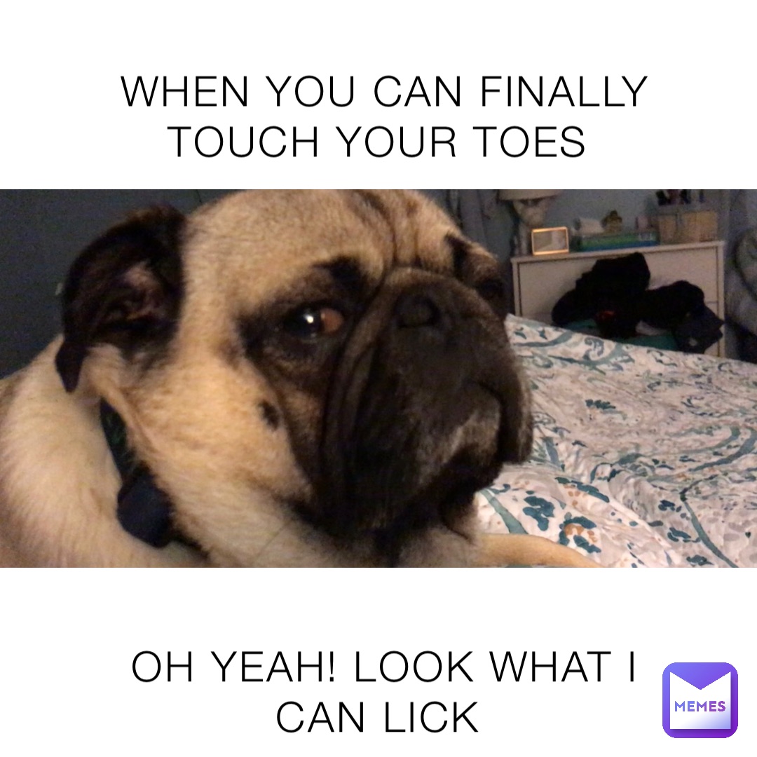 WHEN YOU CAN FINALLY TOUCH YOUR TOES OH YEAH! LOOK WHAT I CAN LICK