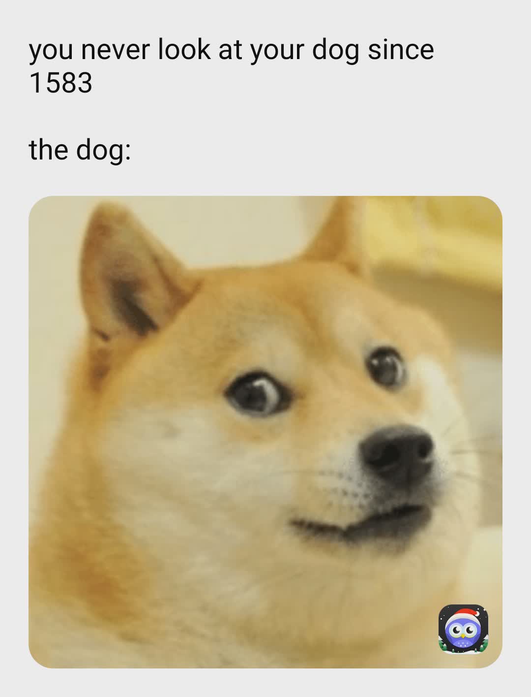 Meme by DOGGOMEMESFORLIFE