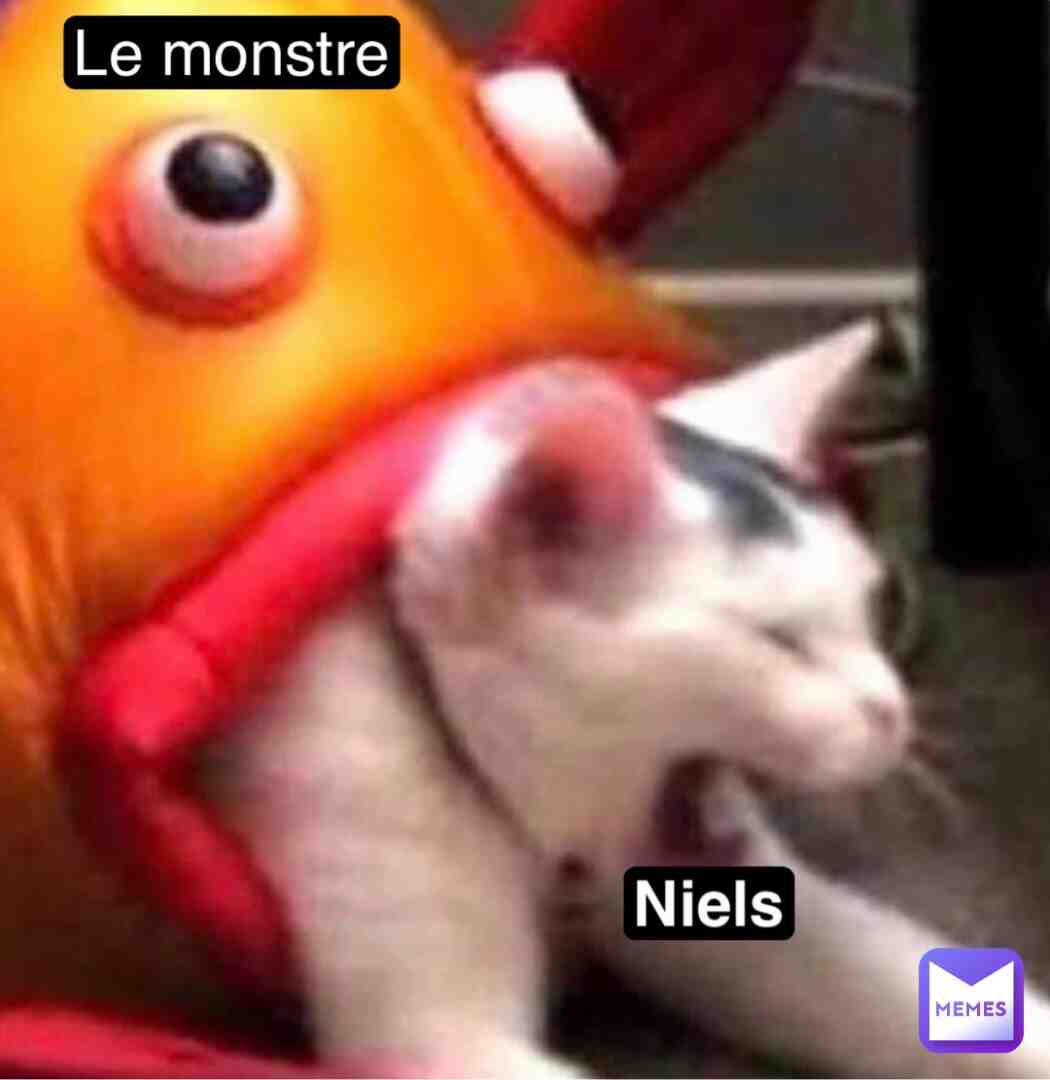 Meme shared by @g79scdwdst