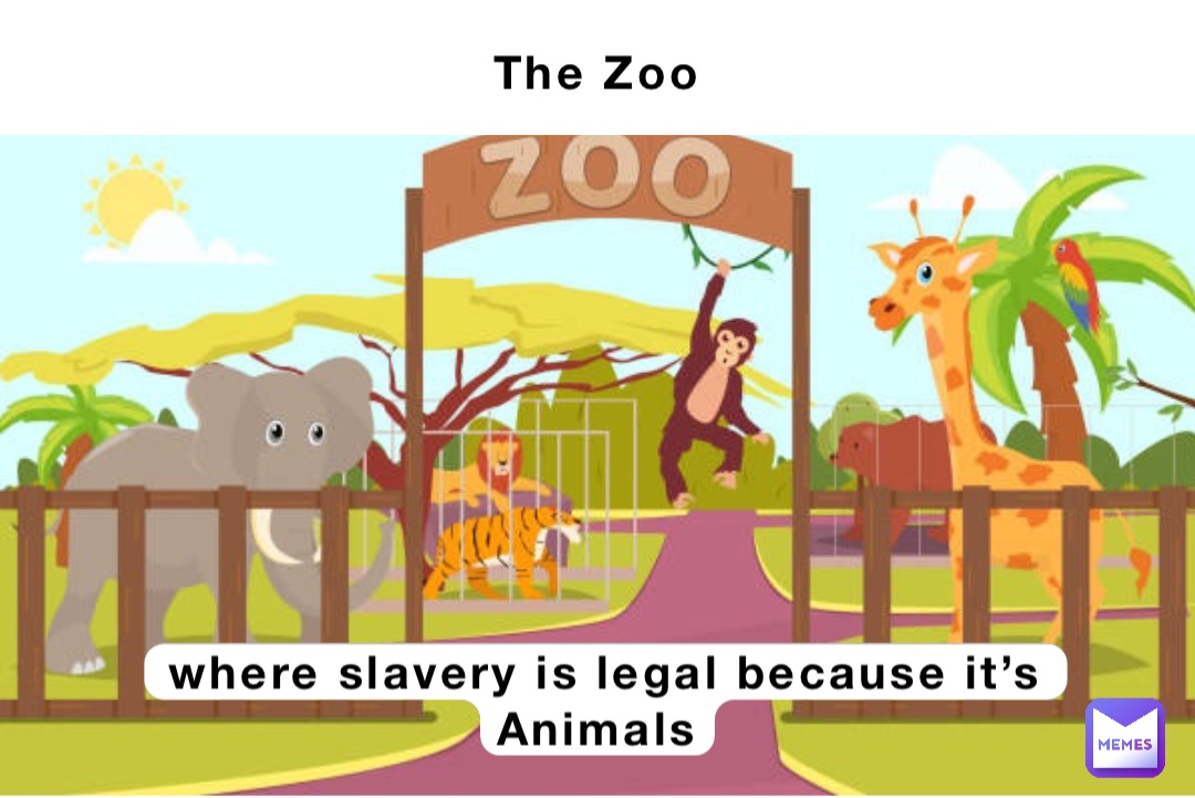 The Zoo where slavery is legal because it’s Animals