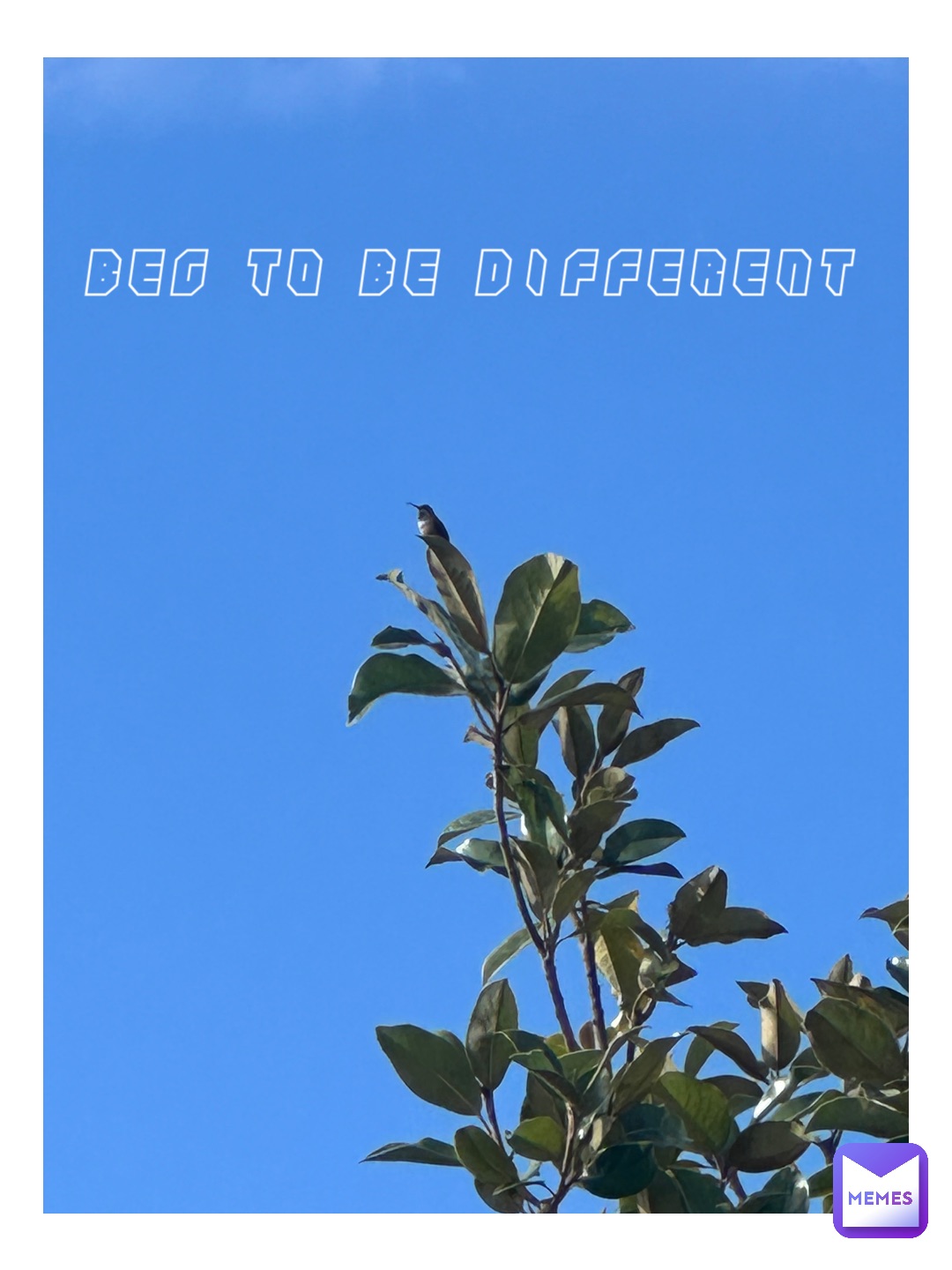 Meme by DiAndre_Armenta