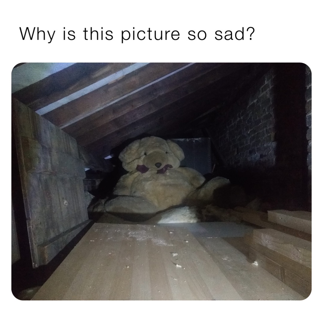 Why is this picture so sad?