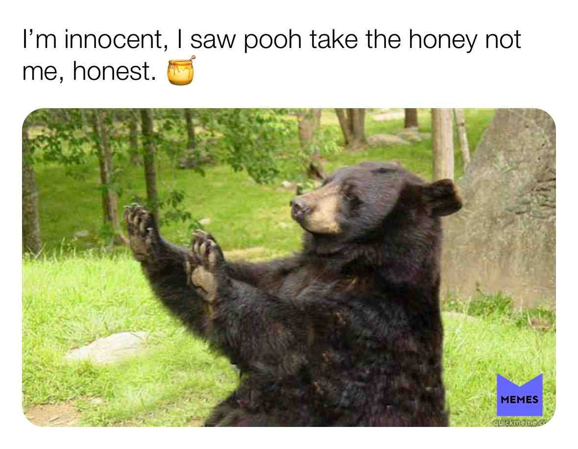 #honey #honeybear #pooh #poohthebear #thief #honeythief #honeystealer #handsup #innocent #funny #bear