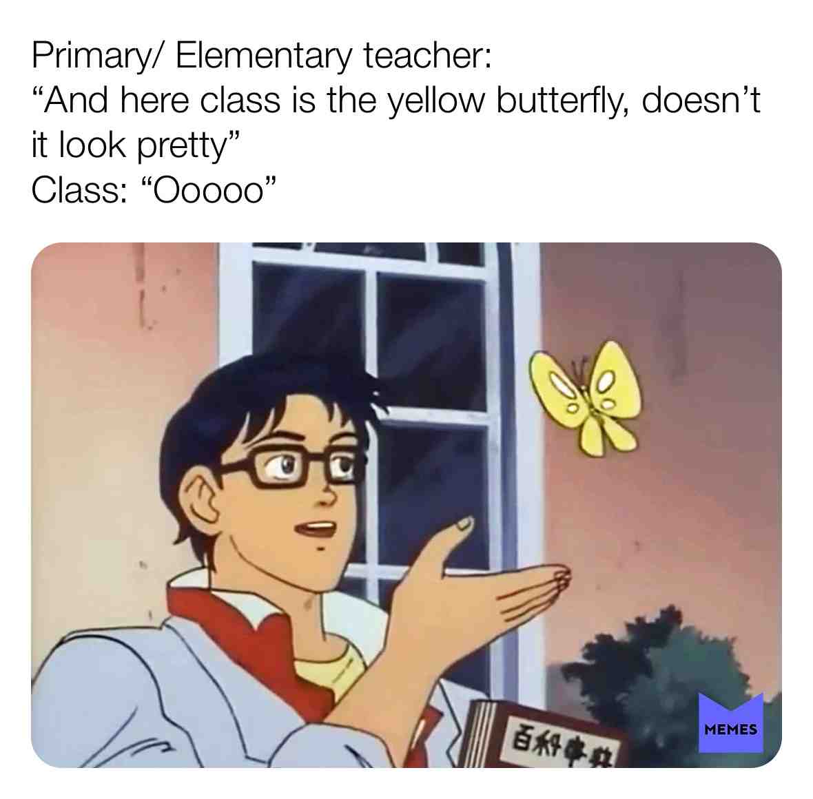 #Nature #natureisexiting #butterfly #yellow #yellowbutterfly #meme #school #class #kids #teacher #lessons #animals #animal #fly