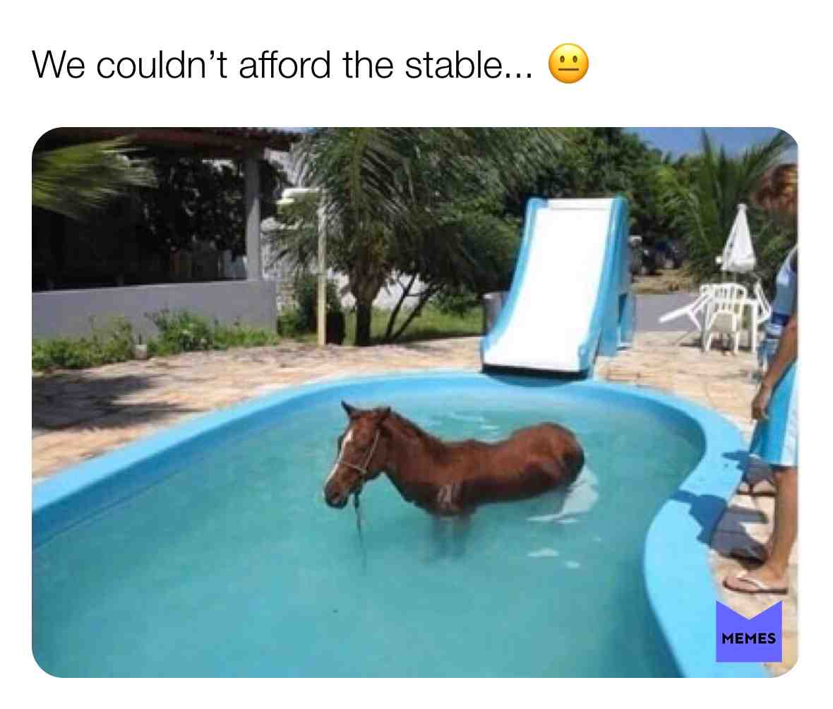 #stable #pool #horse #people #slide #water #haha #funny #money #afford #couldntafford #cheap #memes
