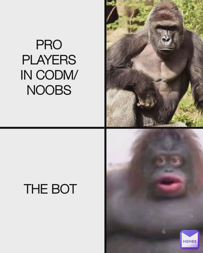 PRO PLAYERS IN CODM/NOOBS
 THE BOT
