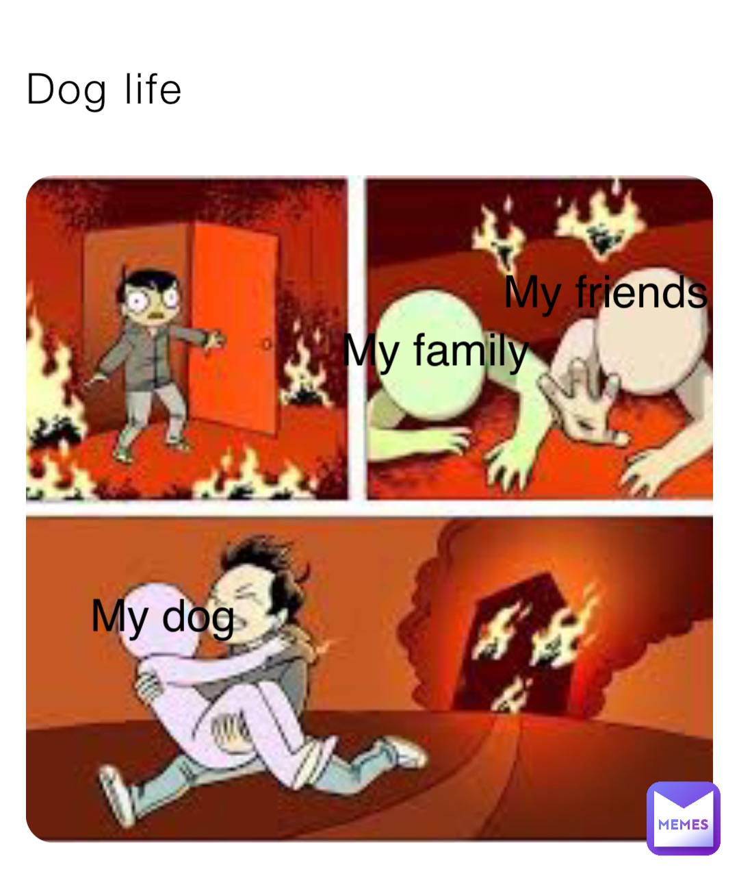 Dog life My dog My family My friends