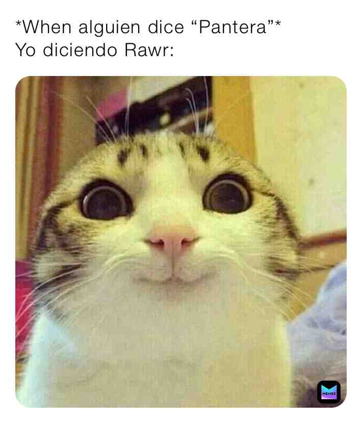 Literal 🤣🤣🤣