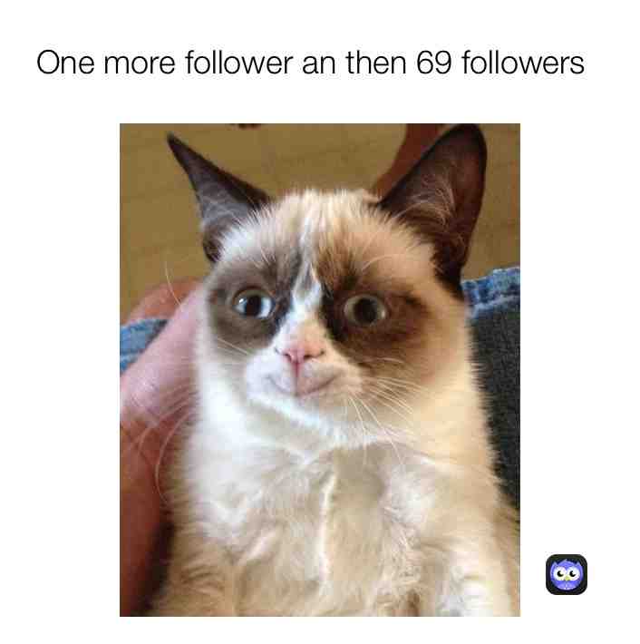 Meme shared by @noahpopack