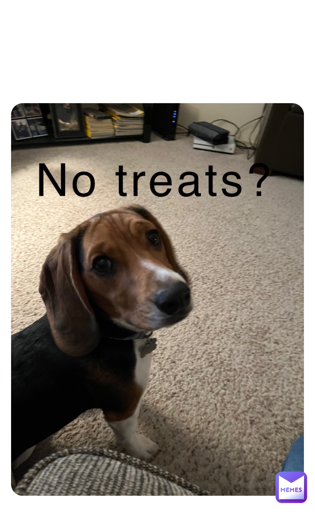 No treats?