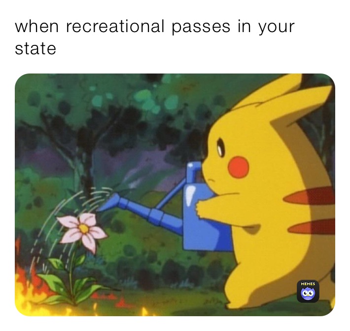 when recreational passes in your state 