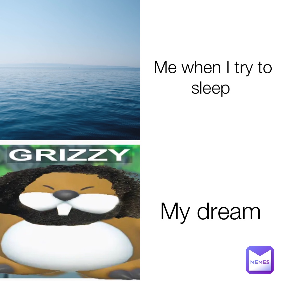 Me when I try to sleep My dream