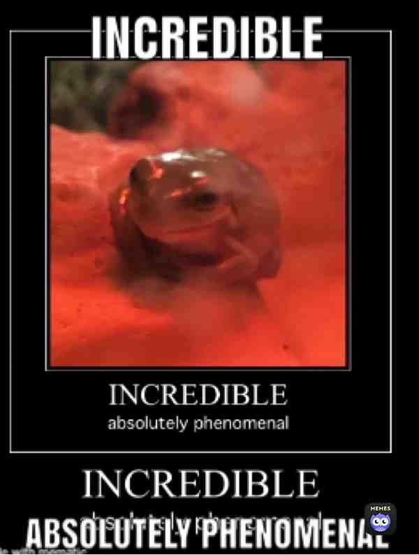 incredible, absolutely phenomenal   # #incredible  #absolutely  #phenomenal