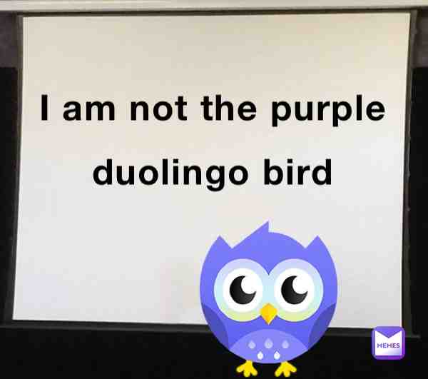 I made a joke about the logo lookin like the duolingo bird a while ago 😭😭