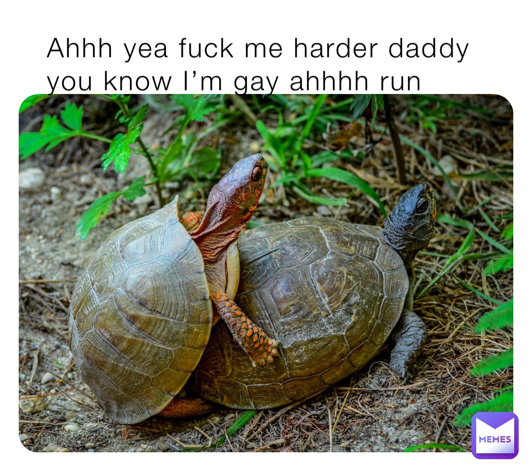 Ahhh yea fuck me harder daddy you know I’m gay ahhhh run