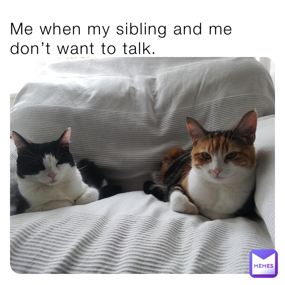 Me when my sibling and me don’t want to talk.