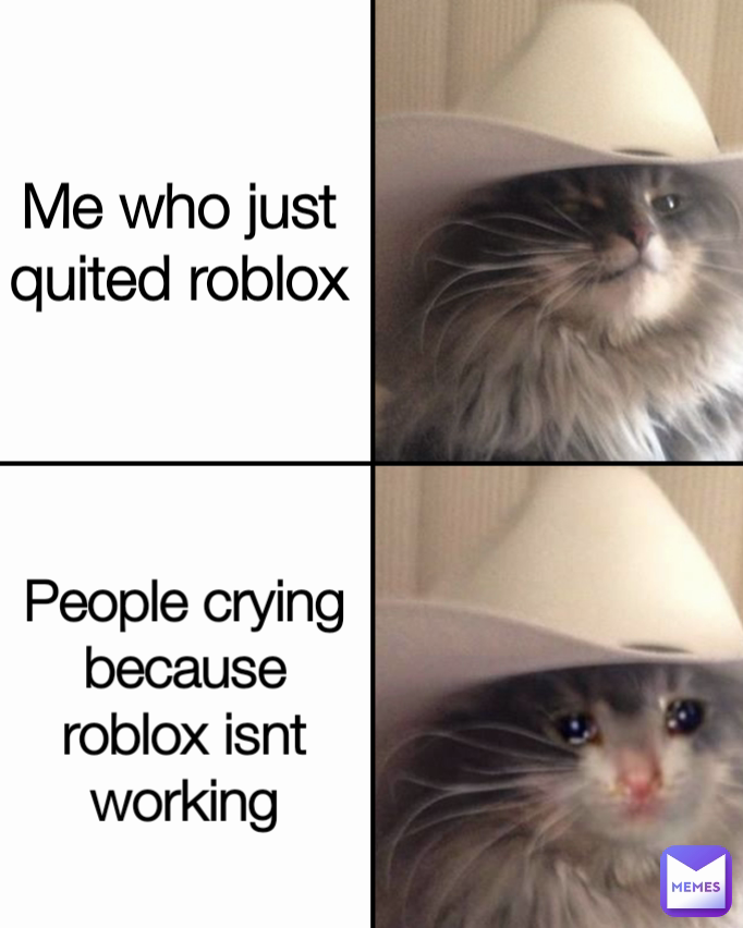 Me who just quited roblox People crying because roblox isnt working