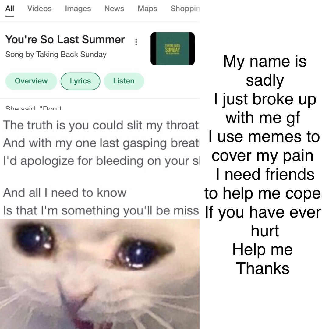 My name is sadly 
I just broke up with me gf
I use memes to cover my pain
I need friends to help me cope
If you have ever hurt 
Help me
Thanks