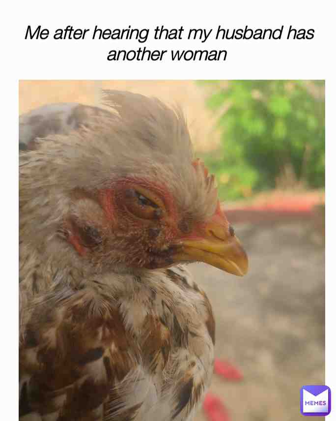Meme shared by @Mebra
