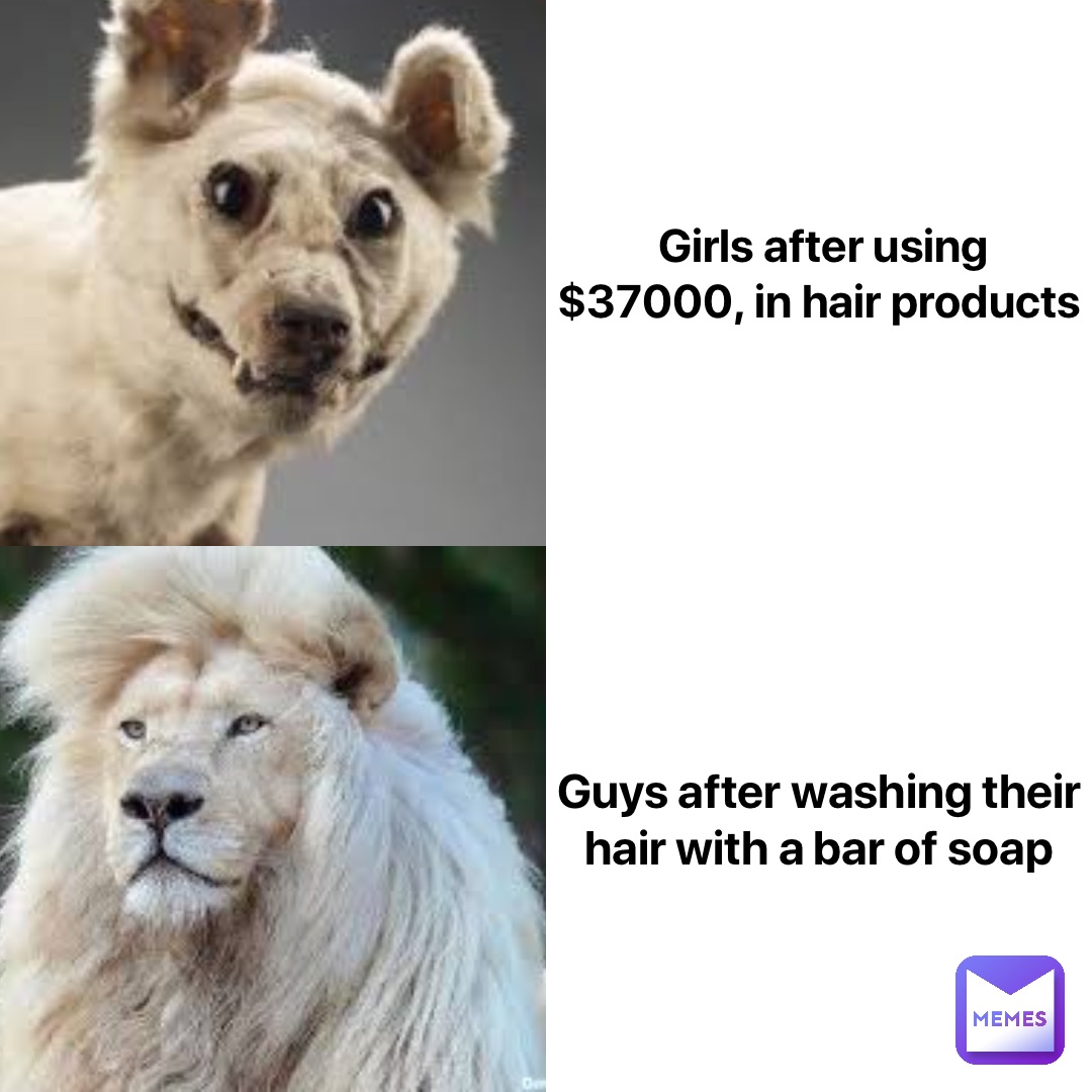 Meme by the_child_redditer