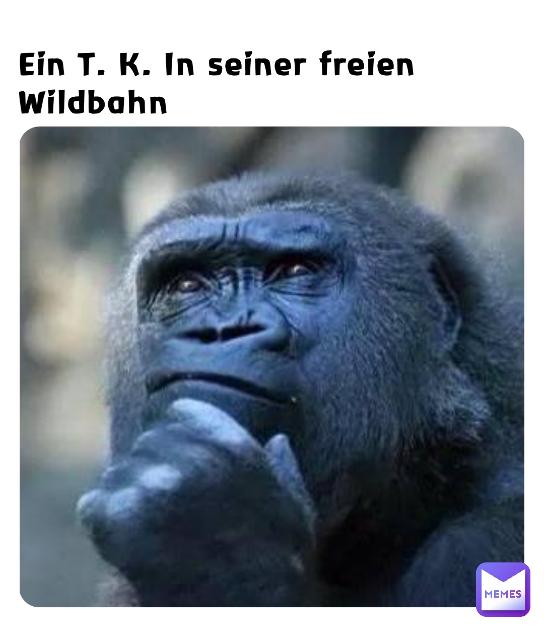 Ein T. K. In seiner freien Wildbahn