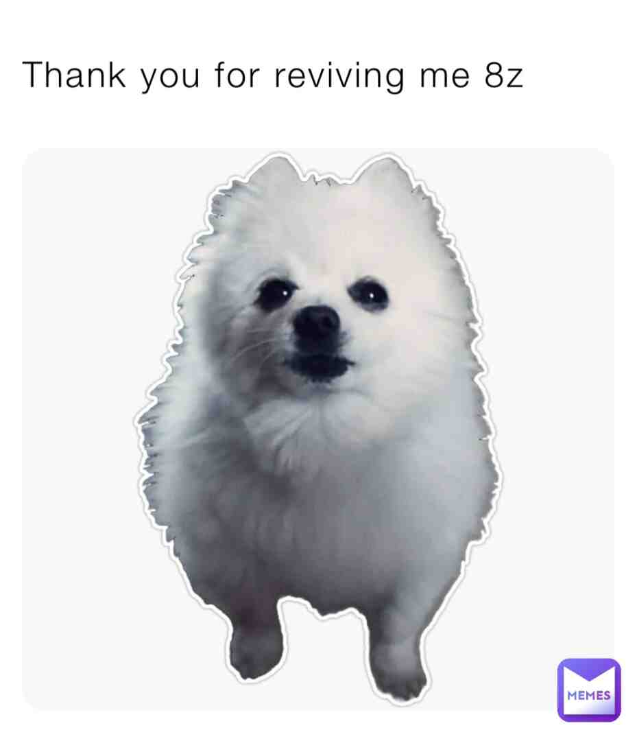 #gabethedog